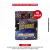 sunshine victory firework sales in online kuwait storeb3