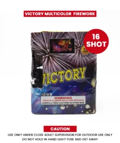 sunshine victory firework sales in online kuwait storeb3